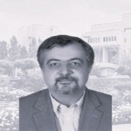 Dr Amir Reza Rokn